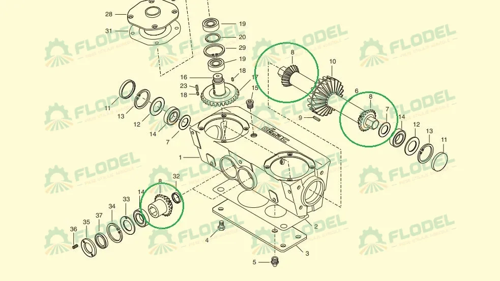 Pinion culegator porumb OLIMAC DR8080 Z13