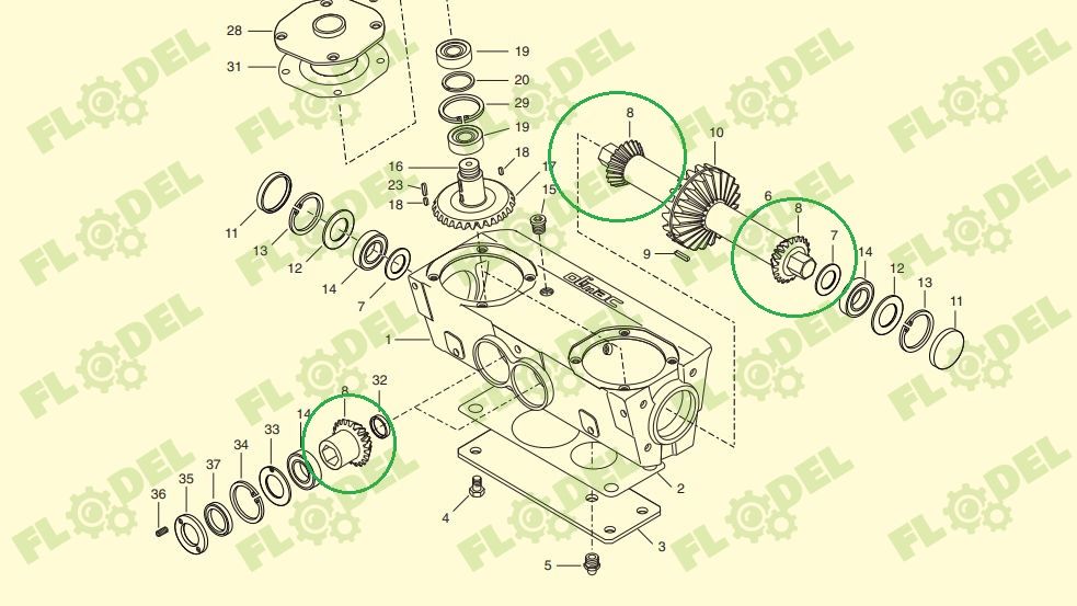 Pinion culegator porumb OLIMAC DR8080 Z13
