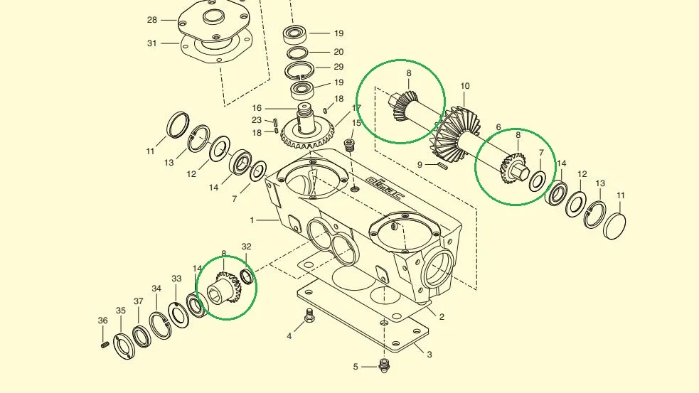 Pinion culegator porumb OLIMAC DR8080 Z13