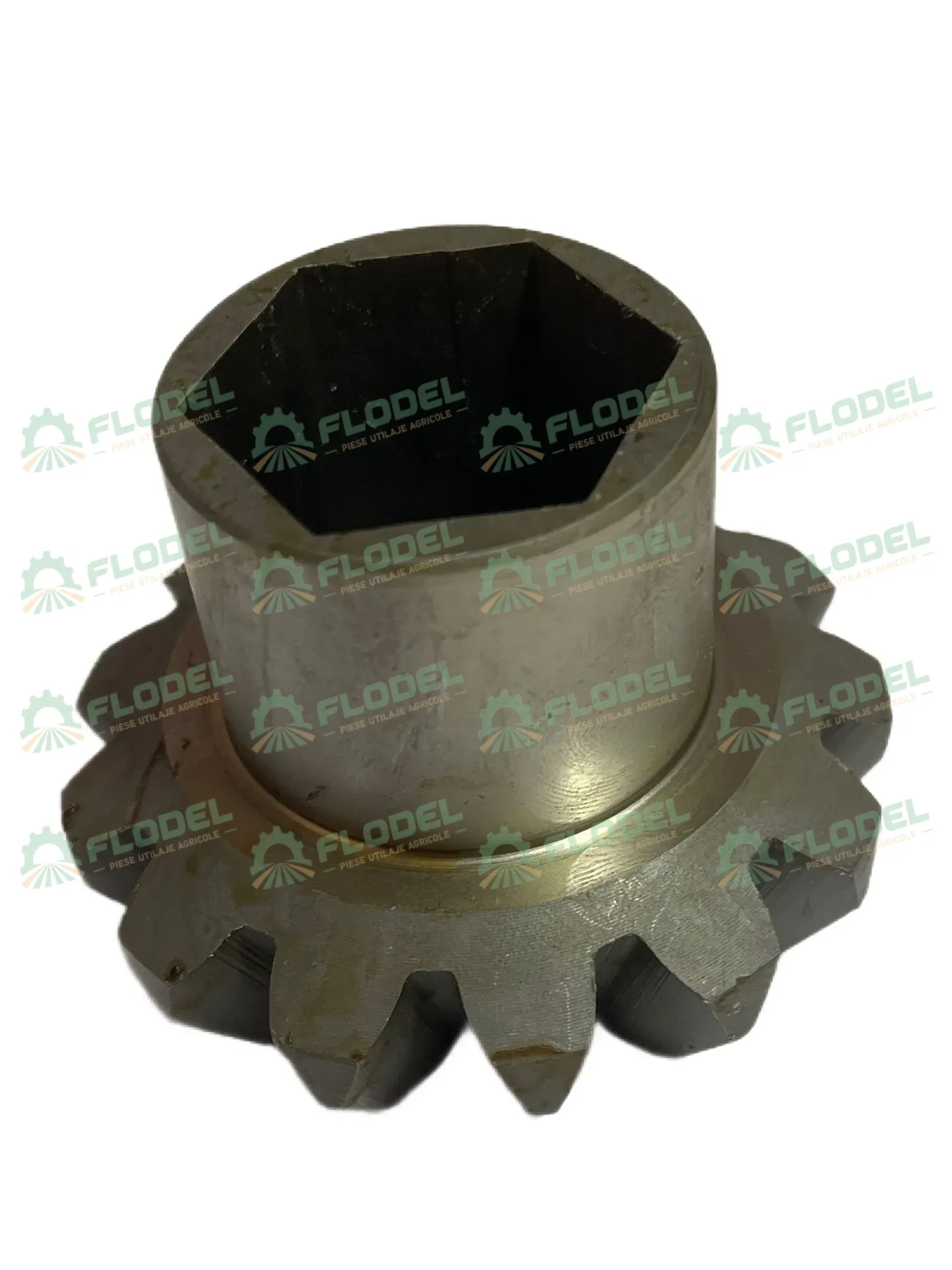Pinion culegator porumb OLIMAC DR8080 Z13