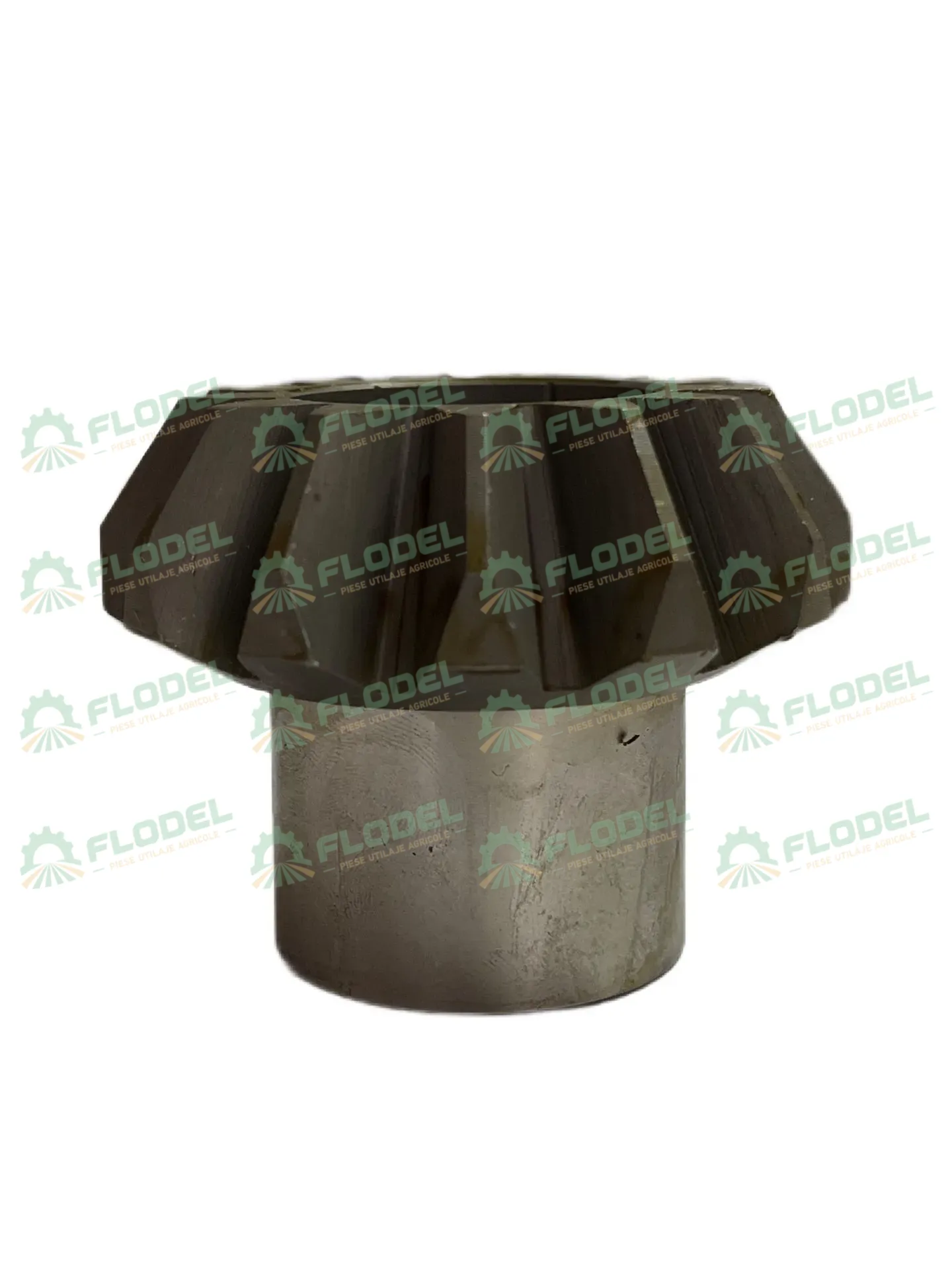 Pinion culegator porumb OLIMAC DR8080 Z13