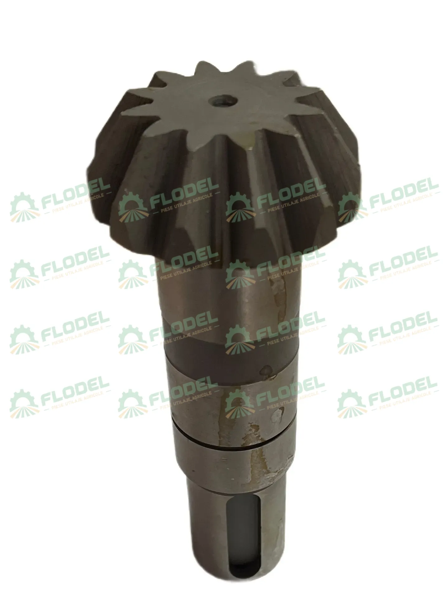 Pinion grup culegator porumb OLIMAC DR7150