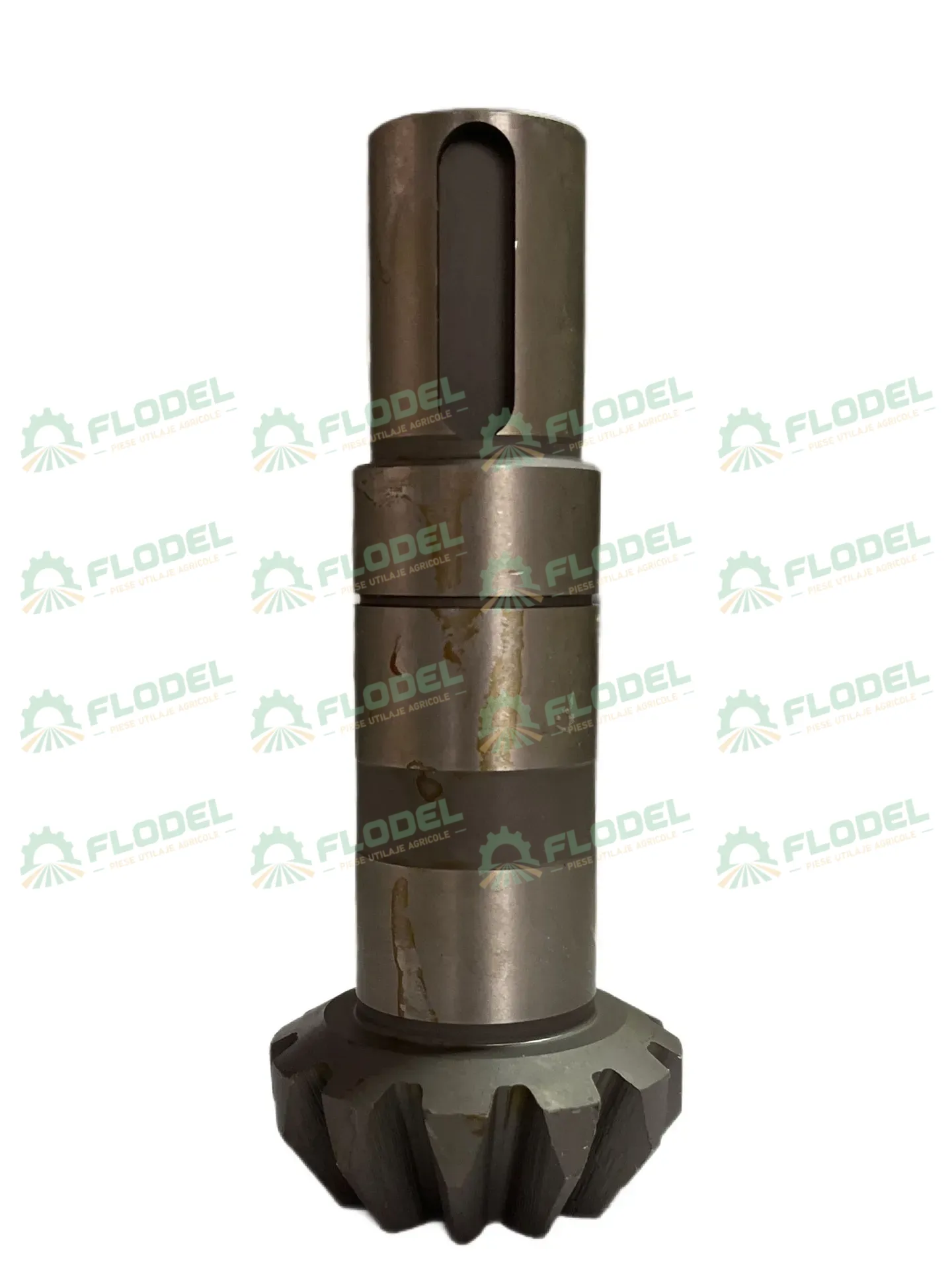 Pinion grup culegator porumb OLIMAC DR7150