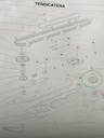Pinion Z11 CAPELLO 03.1995.00