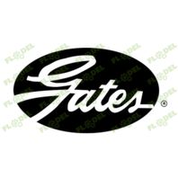 Curea accesorii motor CASE-IH 87802822 GATES