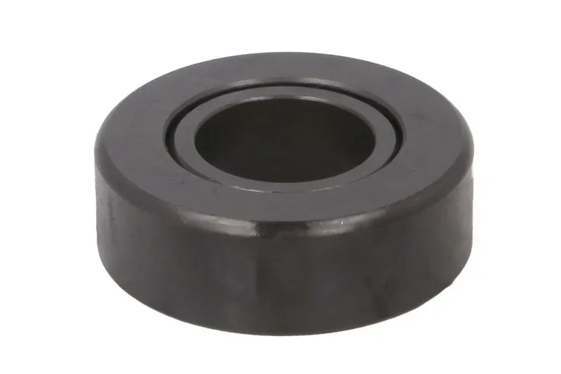Rulment pivot CASE IH 5119699