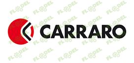 Disc intermediar punte fata CASE IH 1966155C1 CARRARO