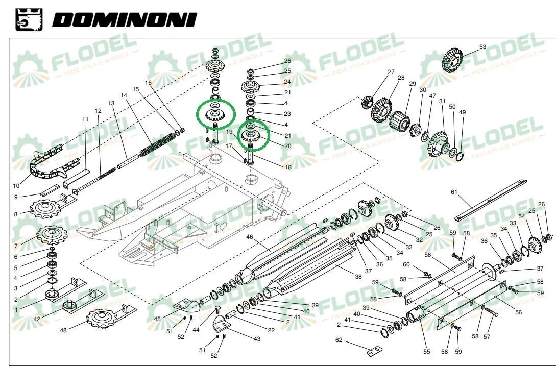 Pinion DOMINONI Z19 10067