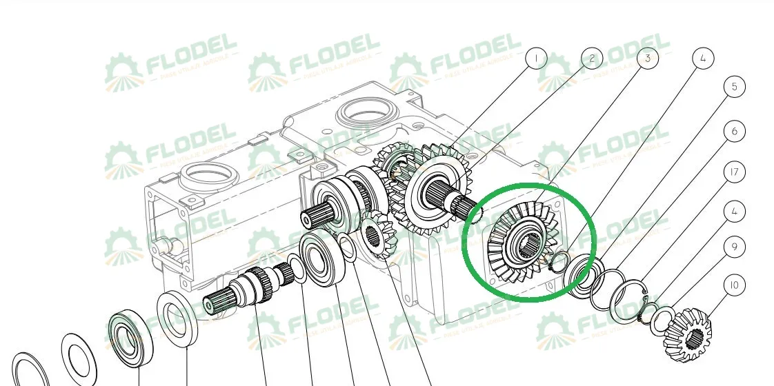 Pinion CAPELLO 04.5029.00