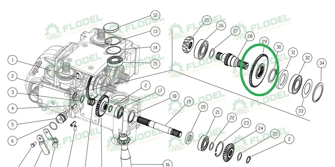 Pinion CAPELLO 04.5109.00 Z54 Z24