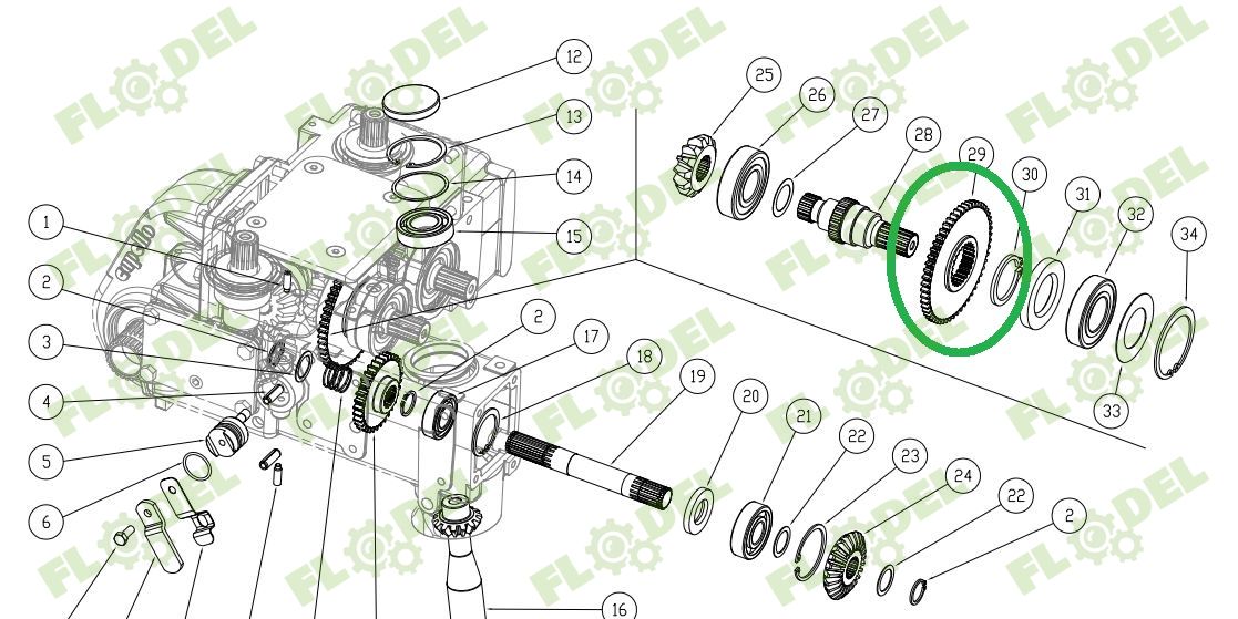 Pinion CAPELLO 04.5109.00 Z54 Z24