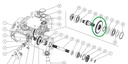 Pinion CAPELLO 04.5109.00 Z54 Z24