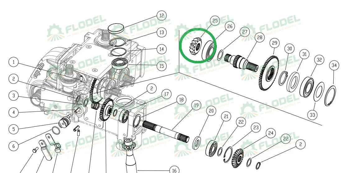 Pinion CAPELLO  Z13 04.5101.00