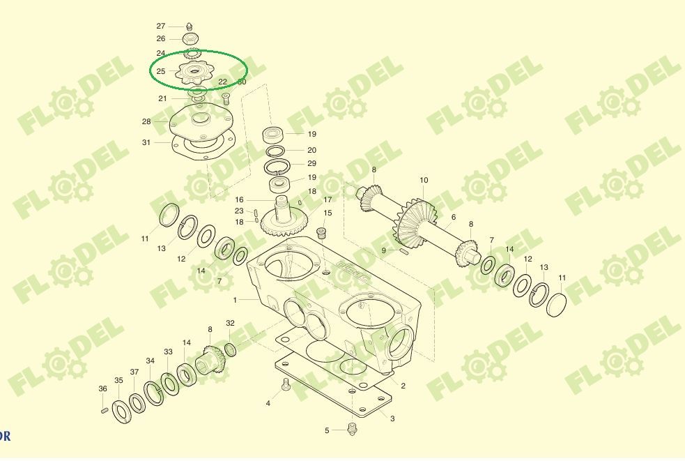 Pinion OLIMAC Z8 DR8250