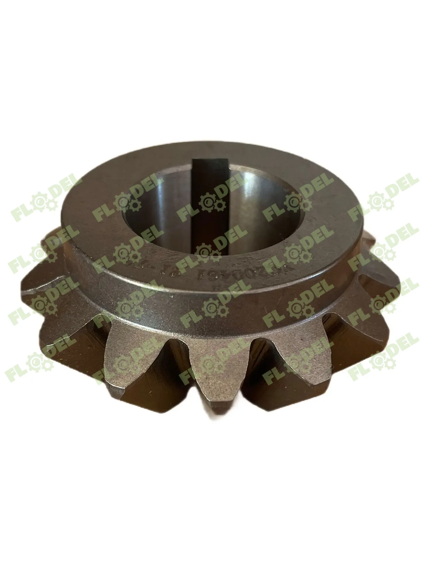 WhatsApp Image 2025-11-13 at 09.54.05.webp