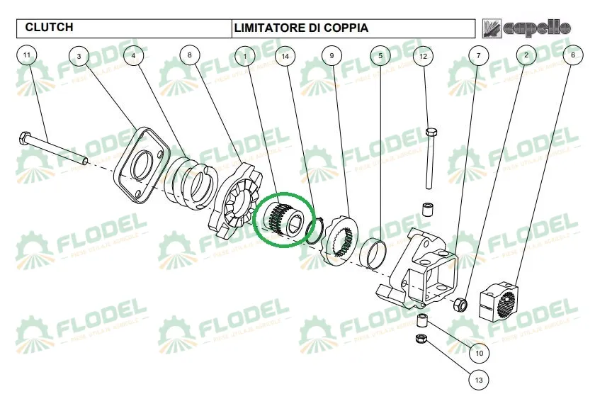 bucsa capello.webp