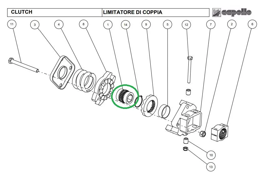 bucsa capello.webp