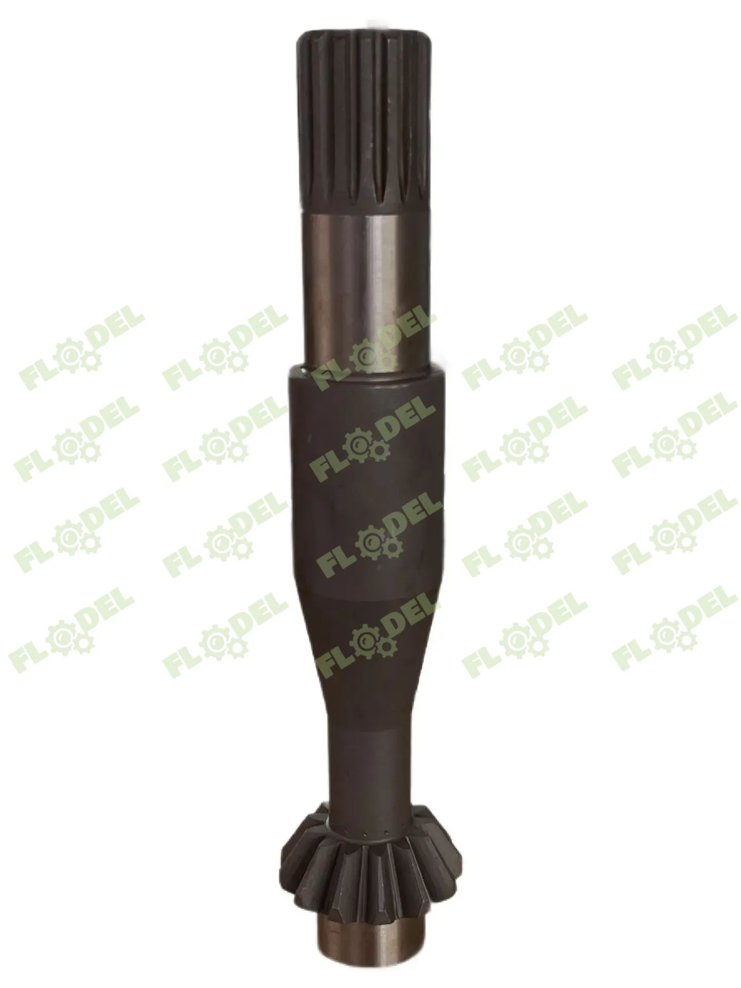 WhatsApp Image 2026-02-19 at 08.36.11 (1).webp