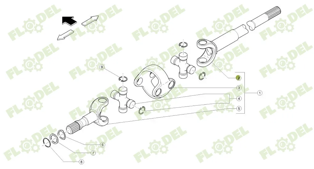 planetara lunga.webp