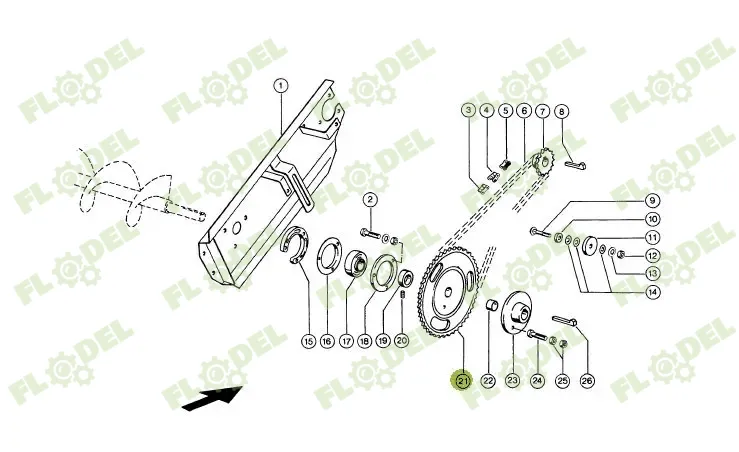 Pinion descarcare.webp