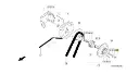 Piulita variator.webp