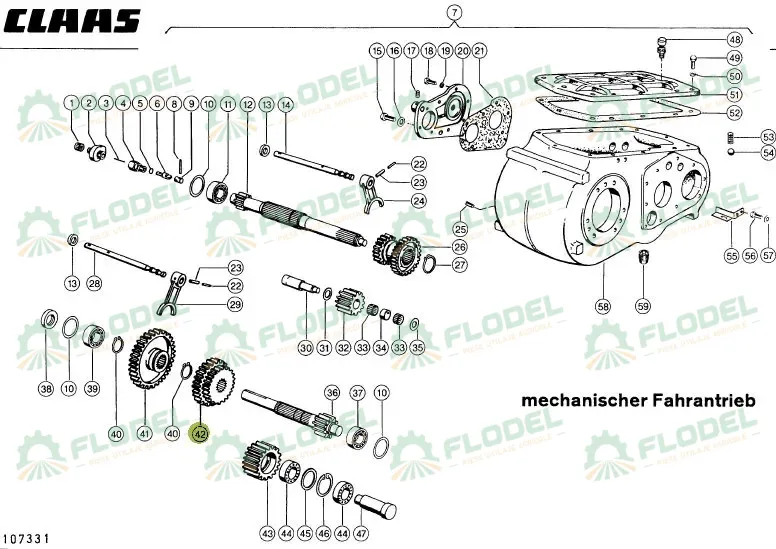 pinion dublu.webp