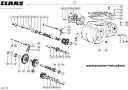 pinion dublu.webp
