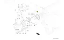 Pinion.webp