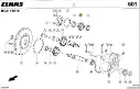 pinion cutie transfer.webp