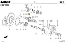 pinion cutie.webp