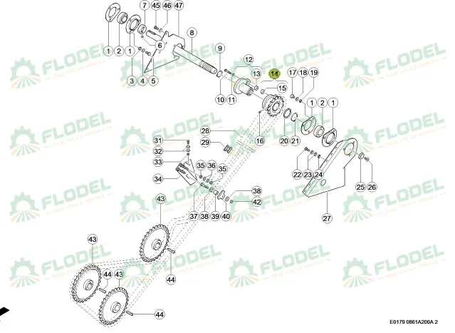 pinion lexion.webp