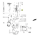 lant cupe.webp