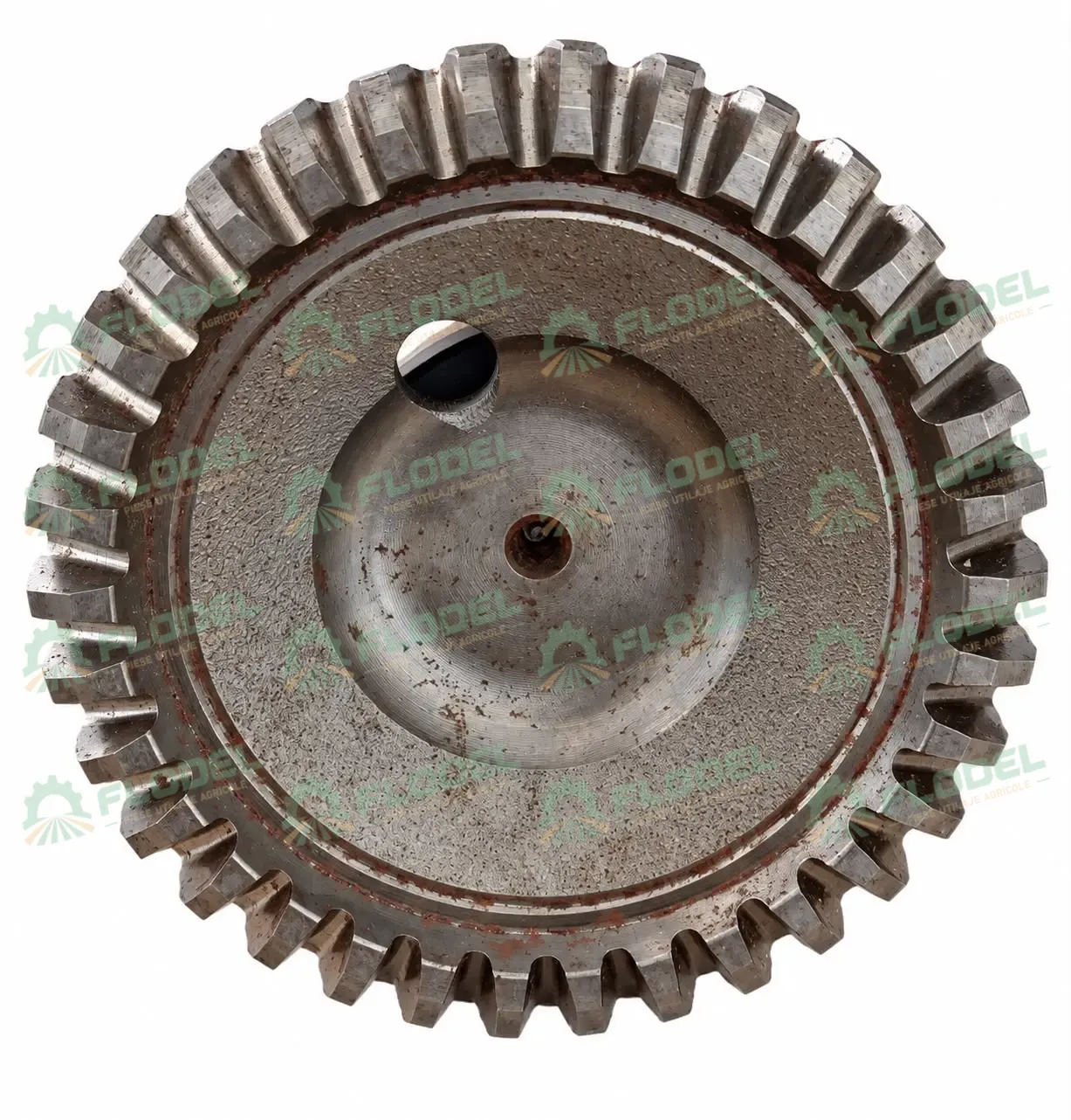 geringhoff (1).webp