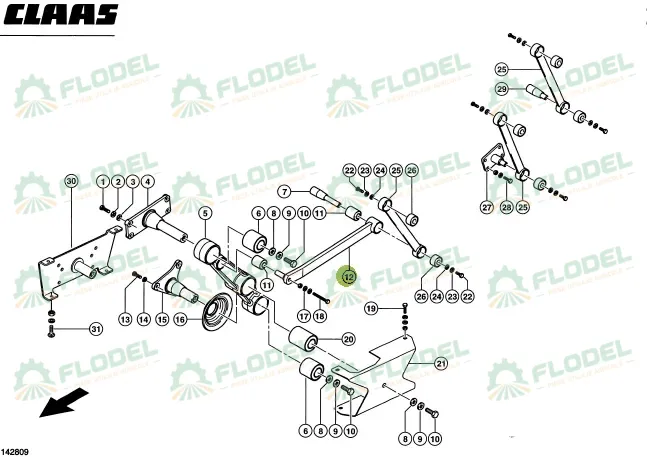 Biela lexion.webp