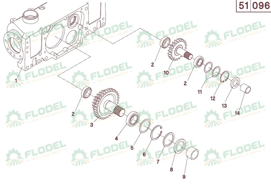 Pinion geringhoff.webp