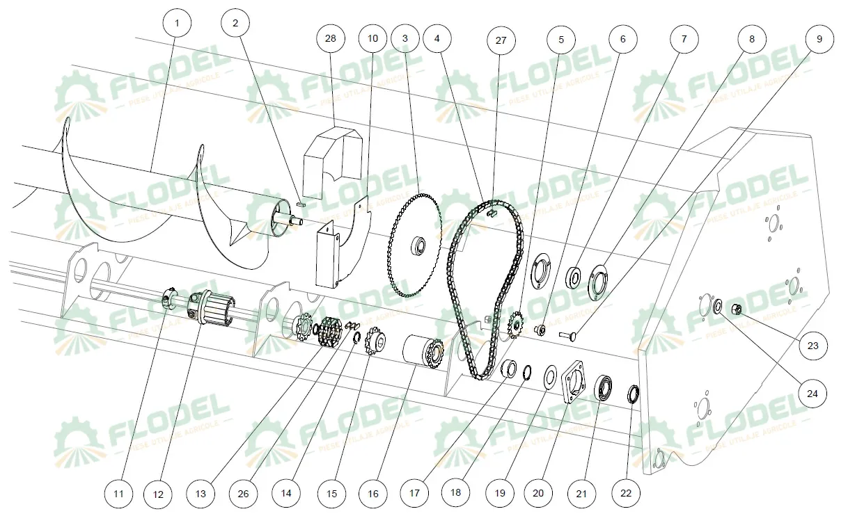 rulment capello.webp