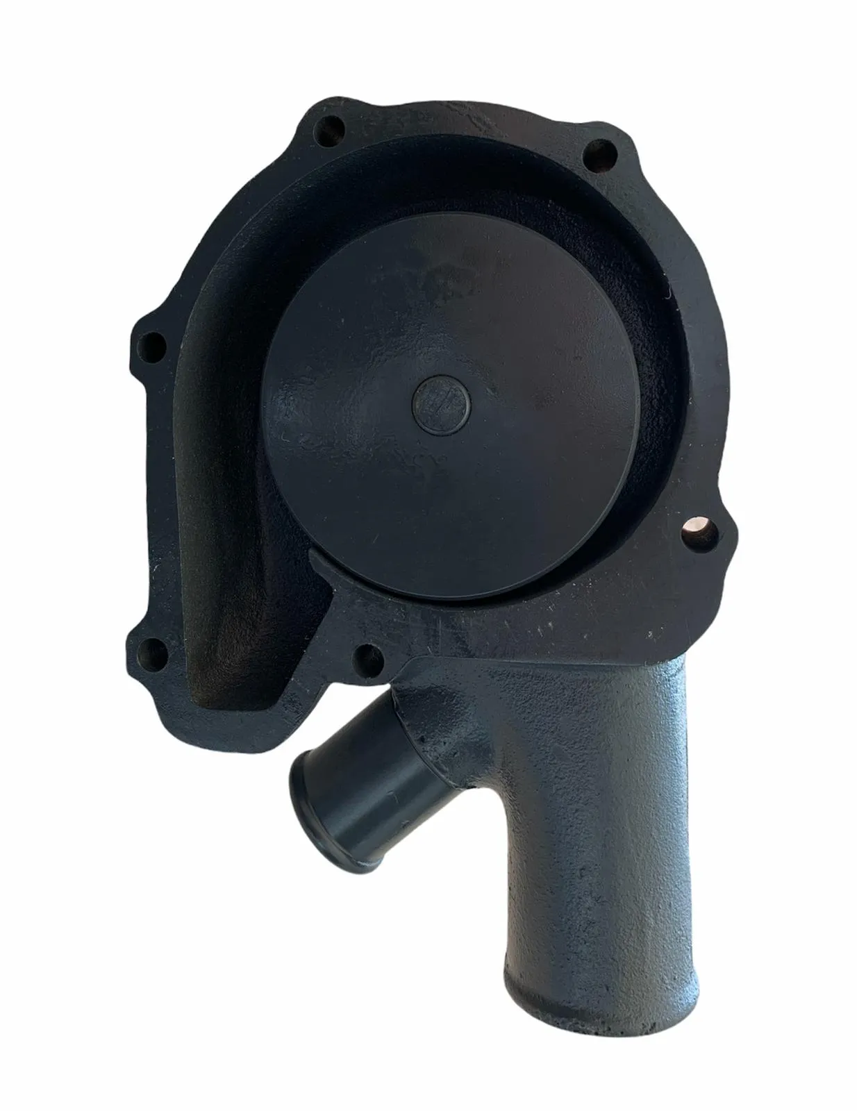 Pompa apa motor Perkins 6317