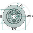 Disc coasa - talpa glisanta 140129