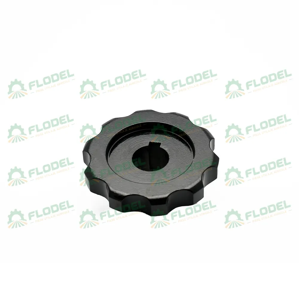 Pinion GERINGHOFF 032027 [Z10]