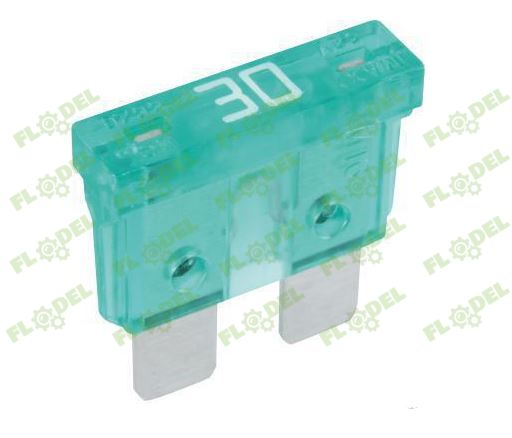 Siguranta electrica standard 30A