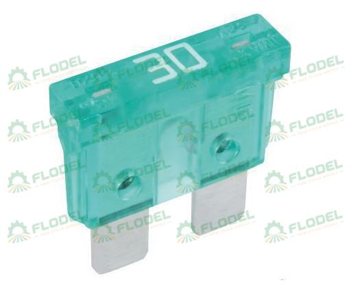 Siguranta electrica standard 30A