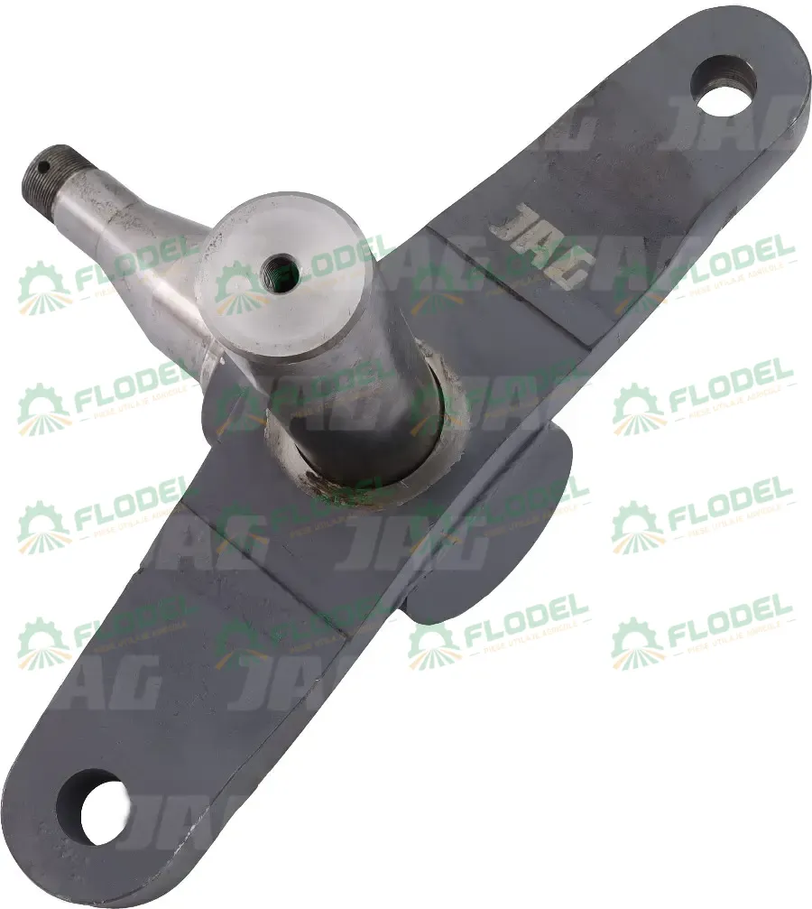 Fuzeta combina CLAAS LEXION 669424 