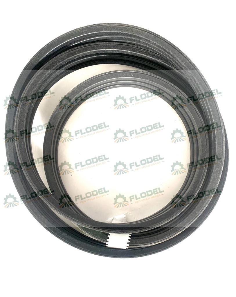 Curea 3HB combina CLAAS 644965 Optibelt