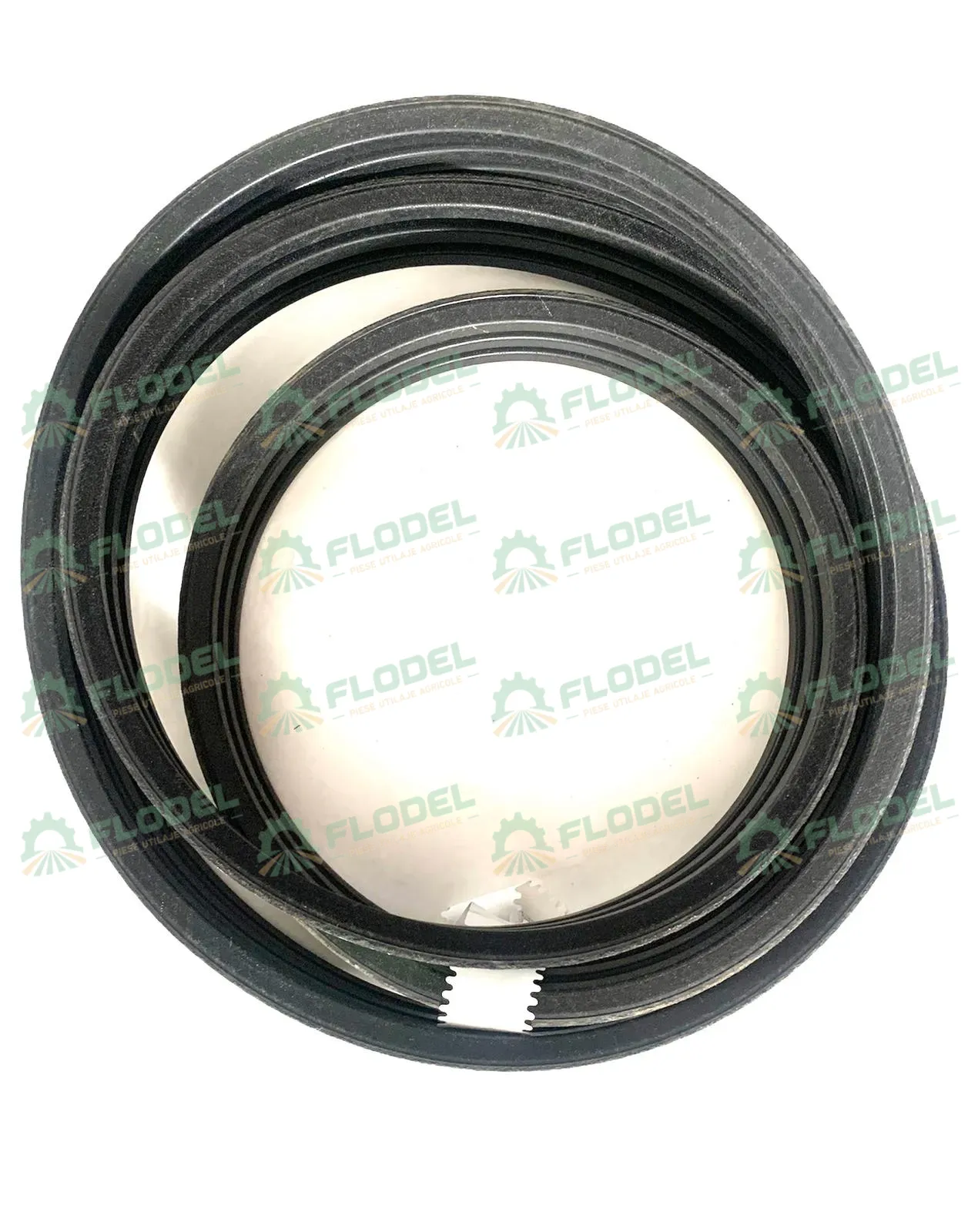 Curea 3HB combina CLAAS 644965 Optibelt