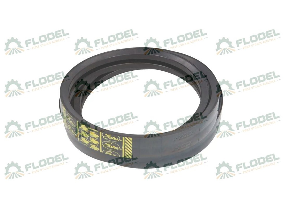 Curea 2HB combina CLAAS 644889 GATES
