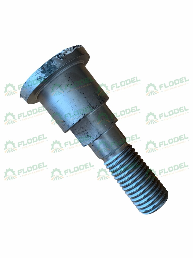 Bolt 35x75 680577