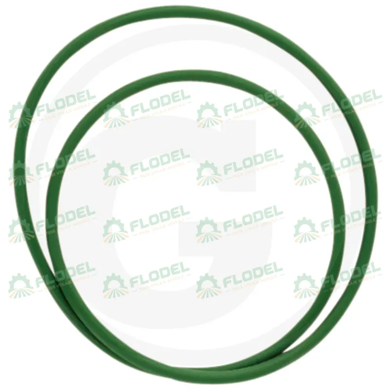O-ring