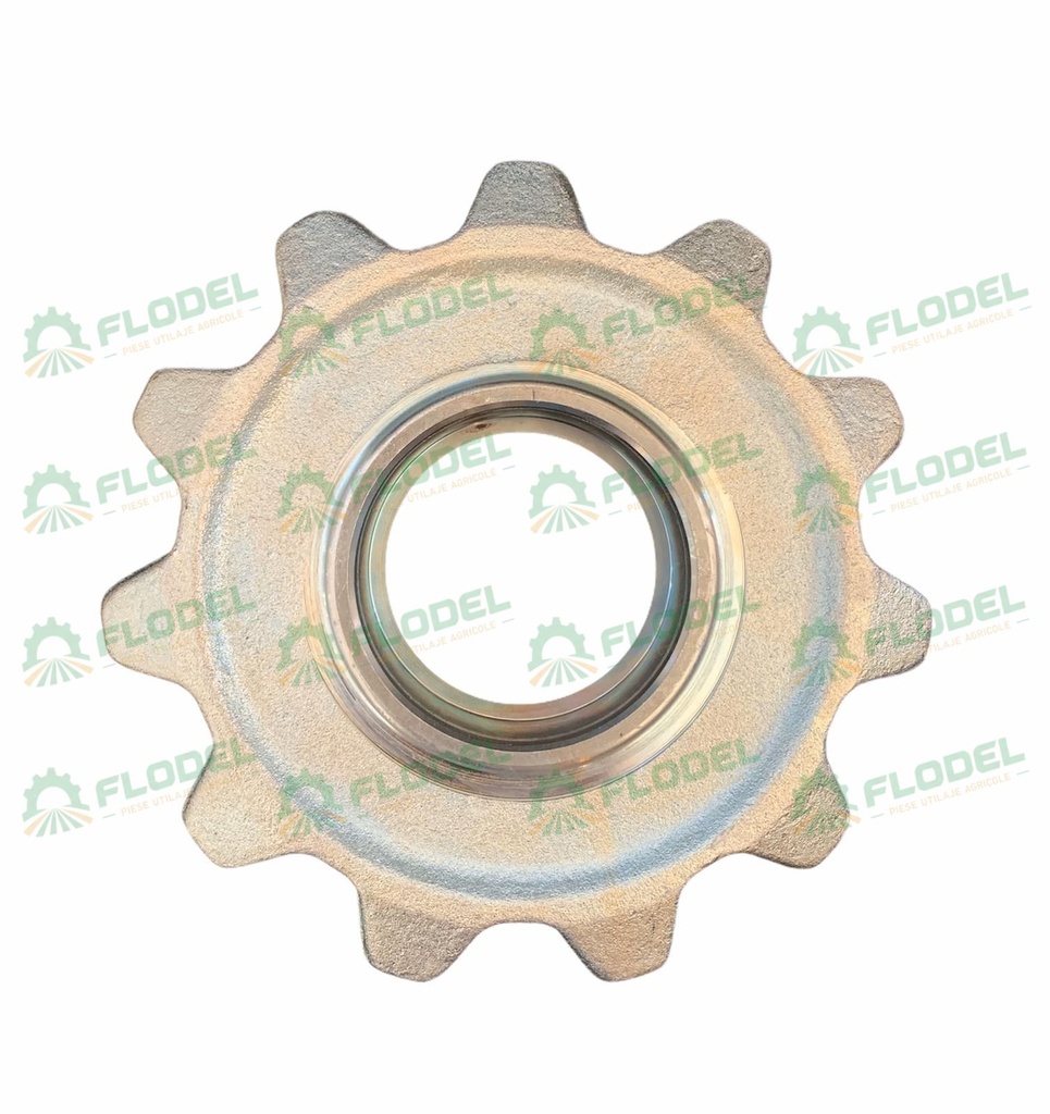 Pinion OLIMAC Z11 DR10010