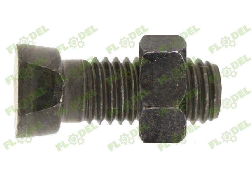 Surub de plug cu piulita