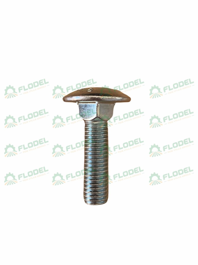 Surub 12x50mm 4,8